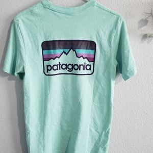 Teal Patagonia tee